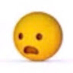 Meet your Posher, Reegan